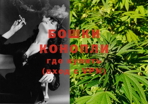 винт Бронницы